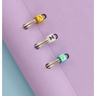 Filofax Clipbook A5 fialový kreativní set