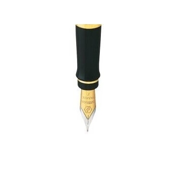 Waterman hrot Expert GT