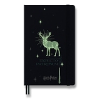 Moleskine Harry Potter Expecto Patronum linkovaný zápisník