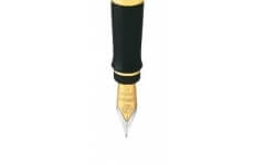 Waterman hrot Expert GT 1507/9096857